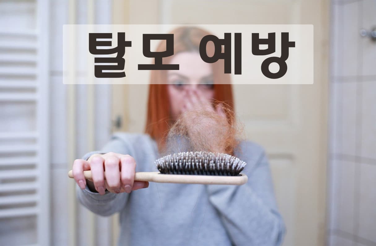 탈모예방 투표 이미지