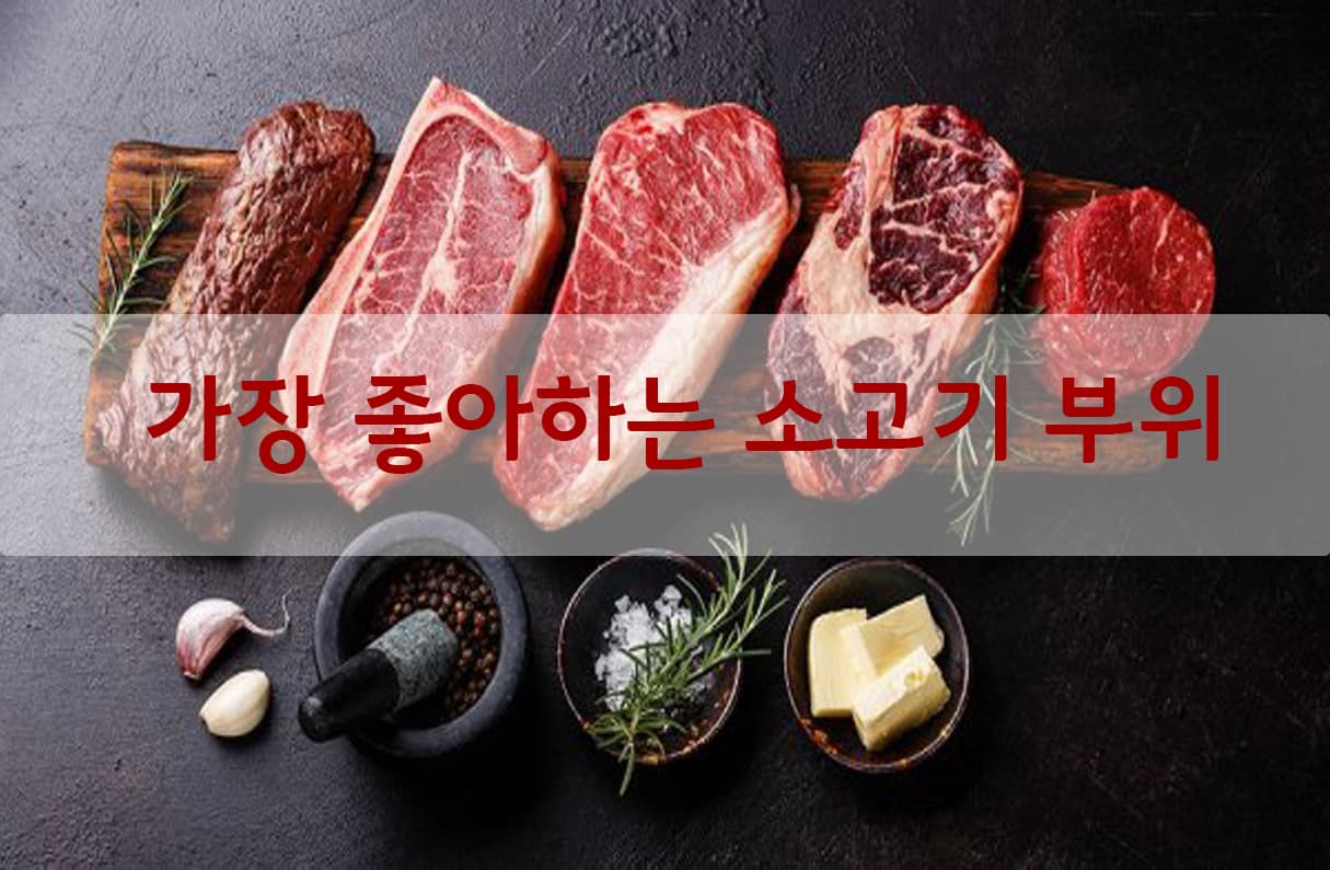 소고기 투표 이미지