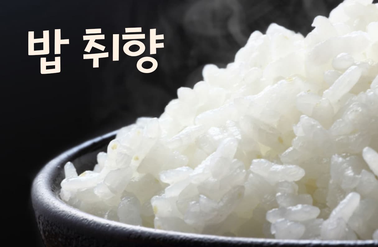 밥 취향 투표 이미지