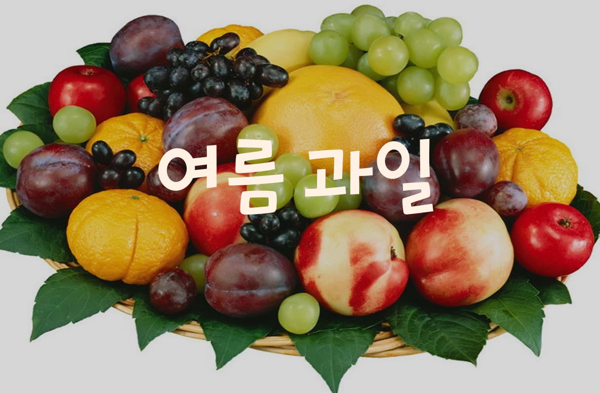 여름 과일 투표 이미지