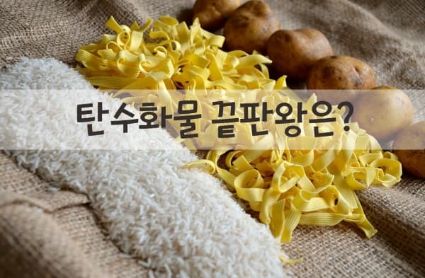 탄수화물 끝판왕은? 투표 이미지
