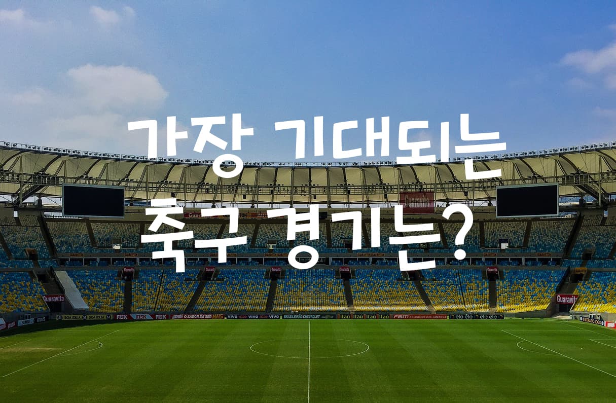 축구 경기 투표 이미지