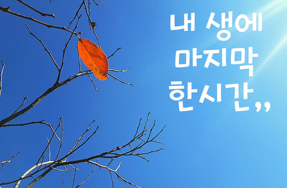 내 생에 마지막 한시간,, 투표 이미지