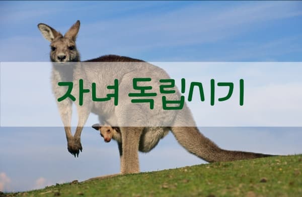자녀의 독립시기는? 투표 이미지