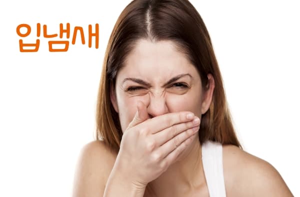 입냄새 투표 이미지