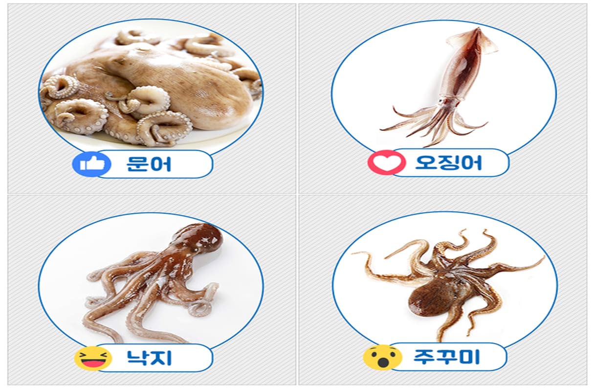 바다속 맛있는 연체동물 투표 이미지