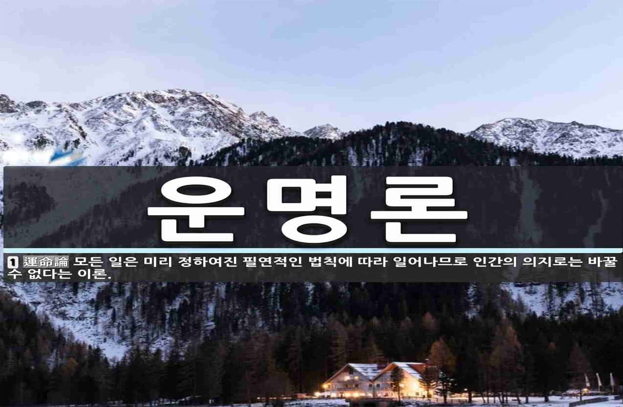 운명론 투표 이미지